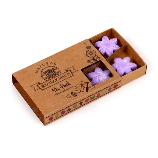 Lavendel Velden Set van 6 Waxmelts