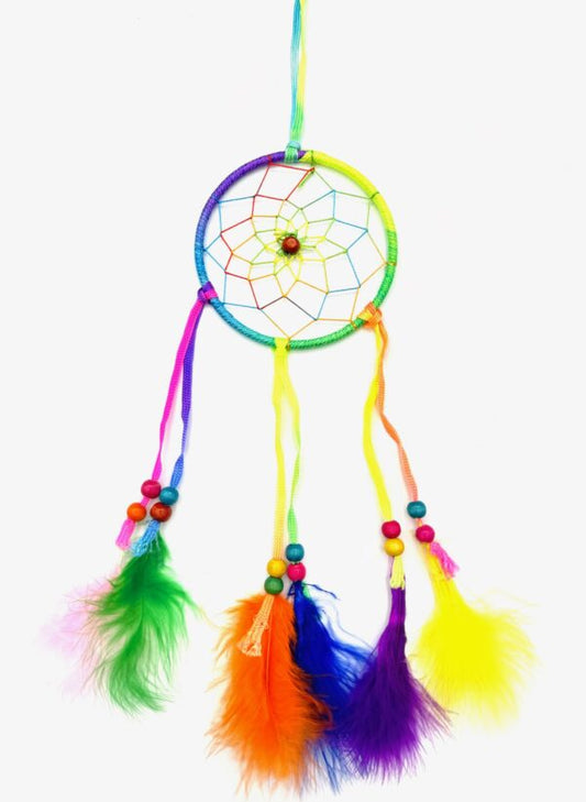 Ronde Gekleurde Dromenvangers 10cm